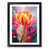 Black Framed selected