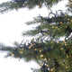 Natural-Cut Monaco 7.5' Green Pine Artificial Christmas Tree with 8032 Clear White Lights