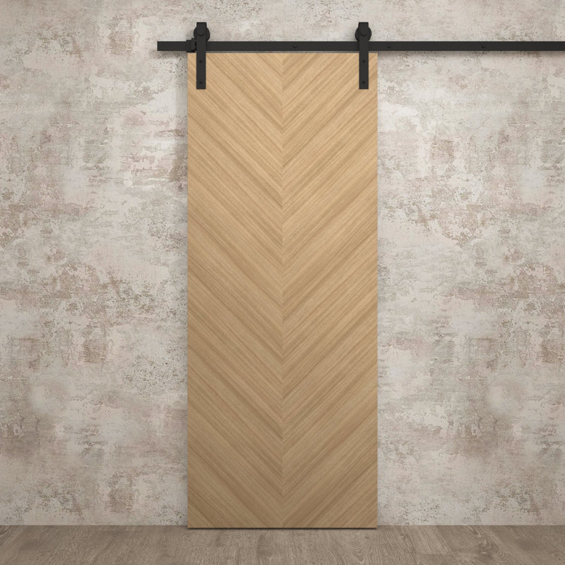 Porte de grange moderne 24 x 80 pouces Ego 5005 Chêne naturel Rail de 6,6 pi Ensemble de quincaillerie robuste Portes intérieures à panneaux pleins