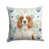 Welsh Springer Spaniel