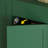 Green Solid wood Shoe Storage