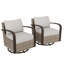 Ensemble de chaises berçantes pivotantes en osier avec coussins (ensemble de 2)-102336892
