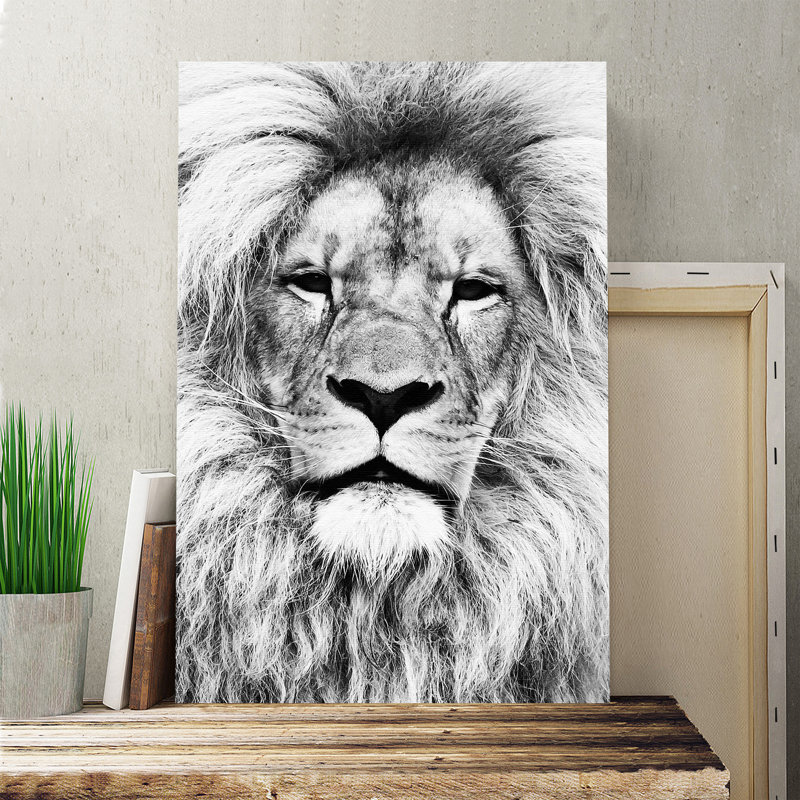 Wrapped Canvas Print, 76cm H x 50cm W