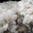 Landscape & Nature Crystal
