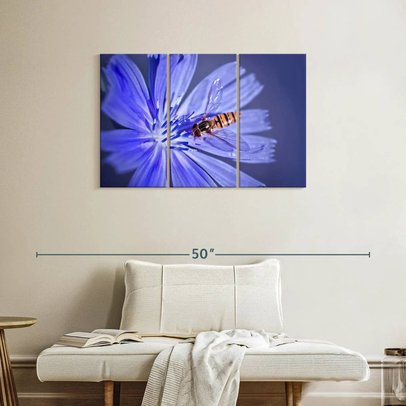 Bee On Chicory Flower, 24" H x 38" W