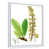 Cadre flottant blanc