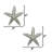 Starfish Small Knobs (set of 2)-126755979-39948825-104674675