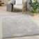 Chippewa Dreamy Shag  Solid Silver Area Rug