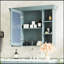 Armoire de salle de bain Moreauville-1149969147
