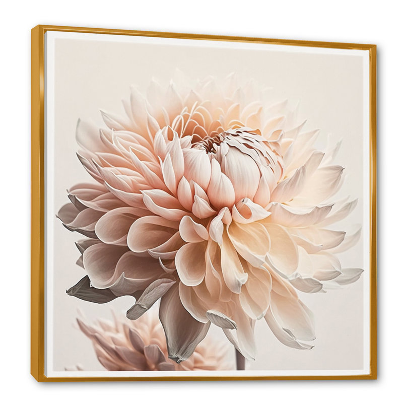 «White Dahlia Flowers I», reproduction sur toile, L 30 po x H 30 po, Toile avec cadre flottant or