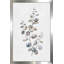 Eucalyptus II par Donna Brooks - Peinture-245417852-245417826