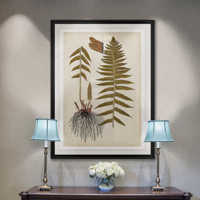 " Fern Botanical V "