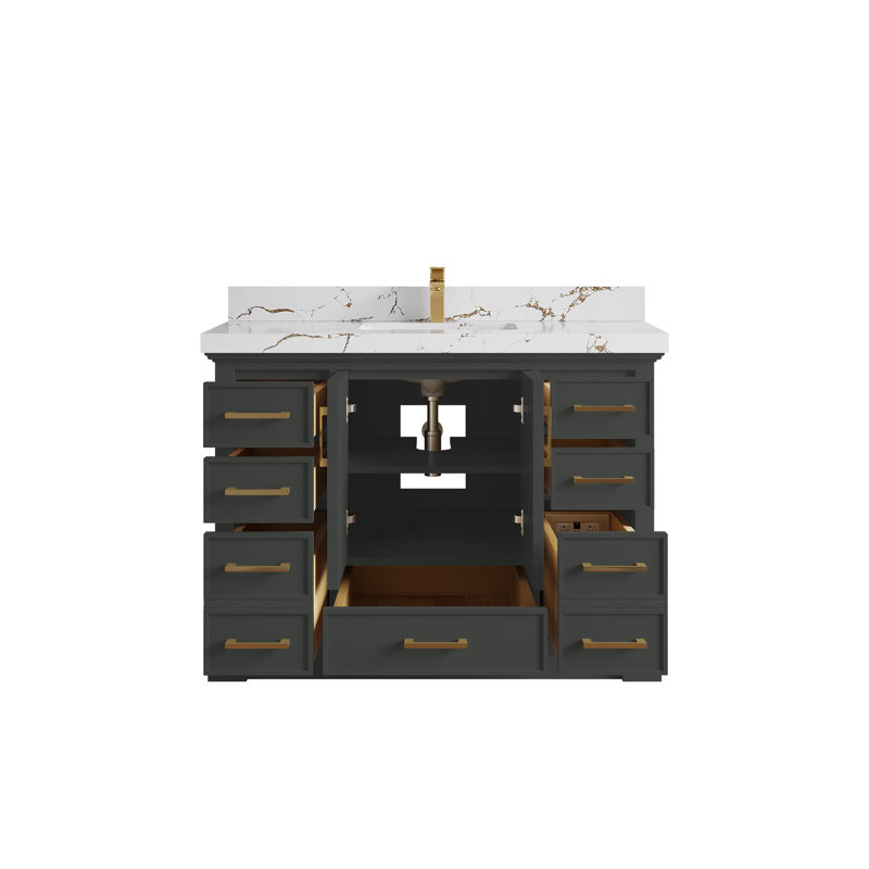 Charlotte 48'' Single Bathroom Vanity with Top, Viola Brown