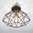 Chandini Flush Mount-2027916702