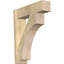 Sapin Douglas-113998552-109329442