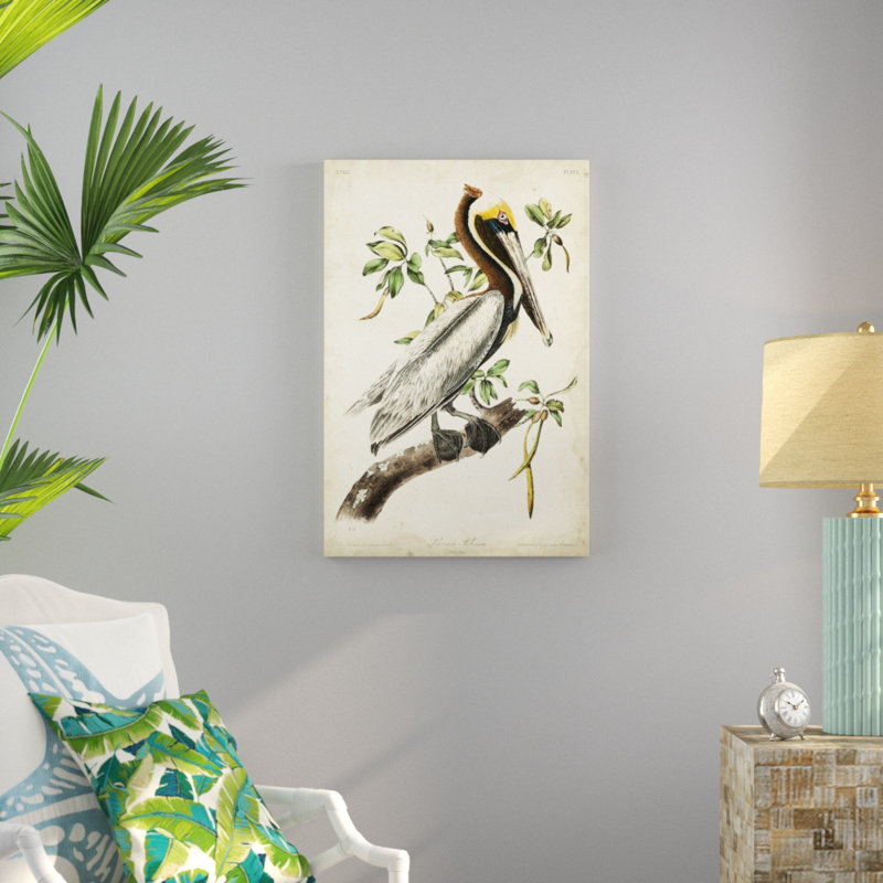 Elegant Brown Pelican Canvas Art Print, 24" x 36"