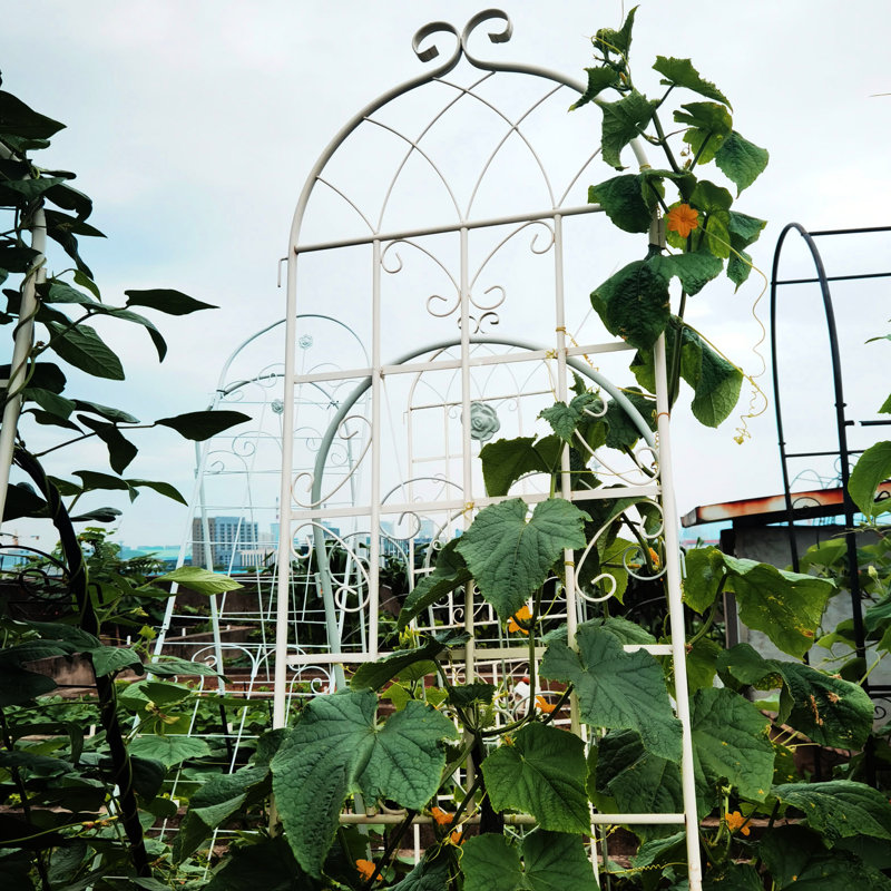 Paquet de 4 pièces de treillis de jardin en acier inoxydable antirouille de 86,7 po x 19,7 po, blanc crème pour plantes grimpantes, support de tuyau rond en métal galvanisé