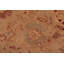Tapis oriental rouge en laine noué à la main 7 pi 8 po x 9 pi 4 po Dorn