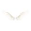 «White Wings», reproduction d'art sur toile tendue-2035196460