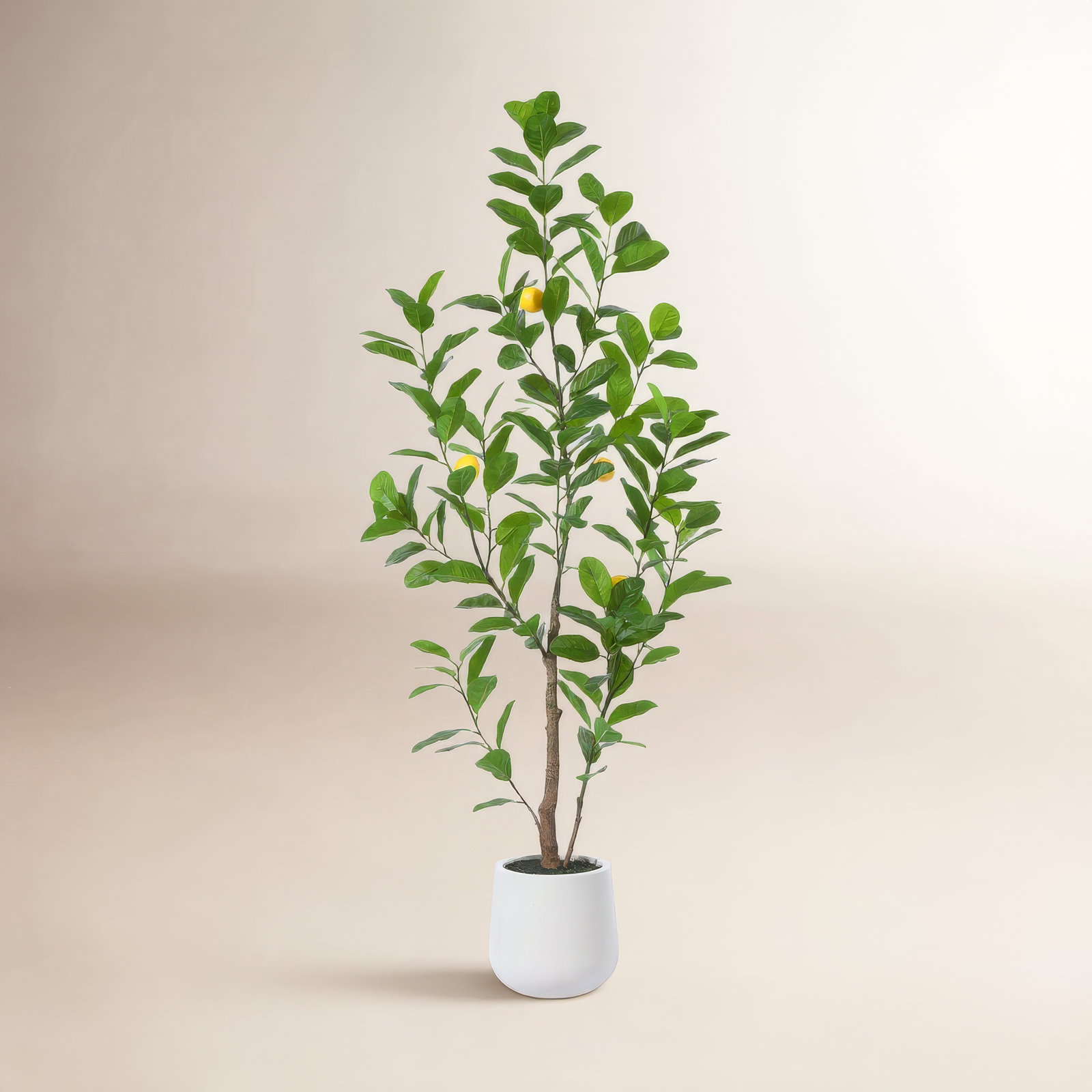 Adcock Artificial Plastic Lemon Tree in Pot, Pre Potted Faux Greenry Lemon Plant for Home Decor, 60" H x 20" W x 20" D