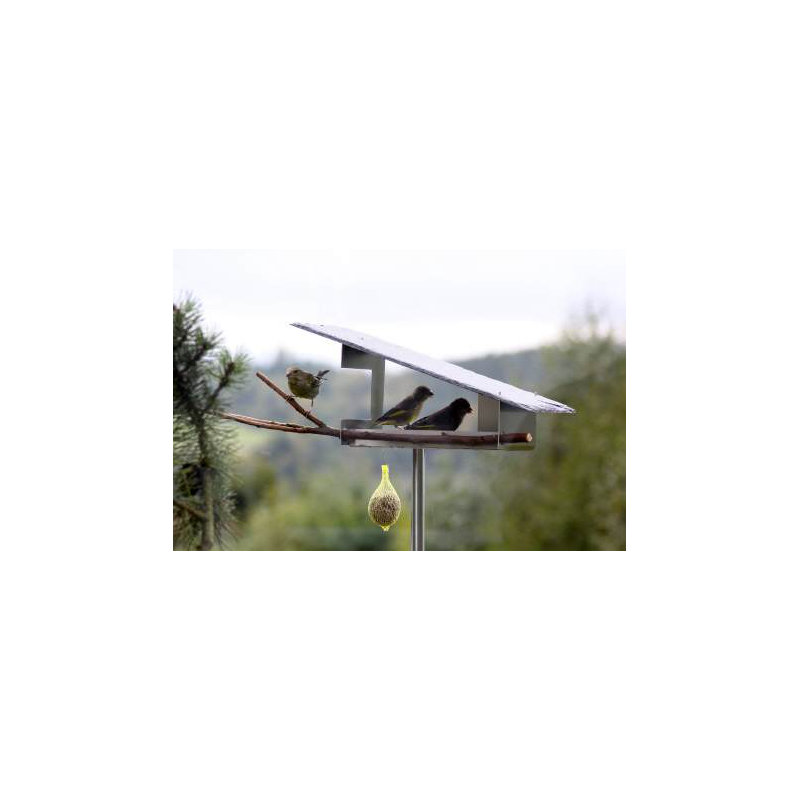 Metal Tray Bird Feeder