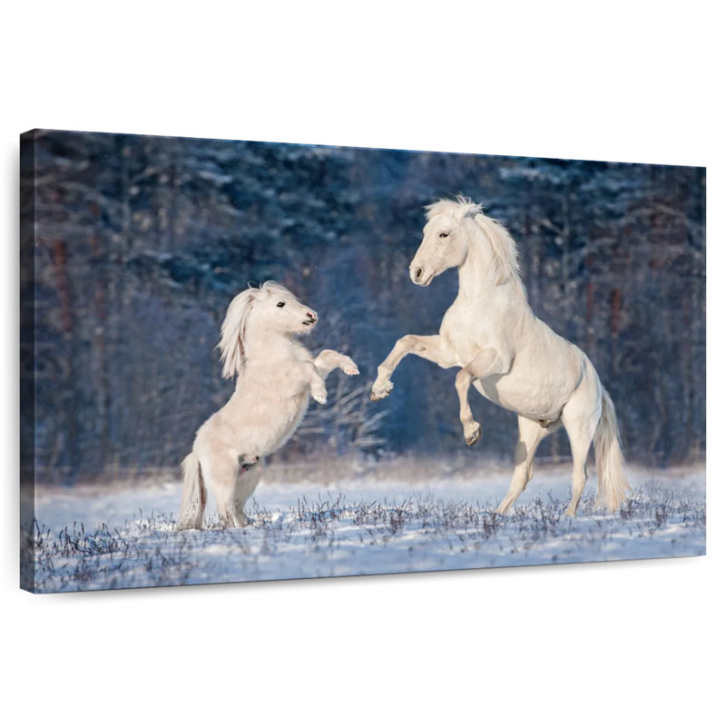 Brampt, chevaux blancs d'hiver, H 32 po x l 48 po