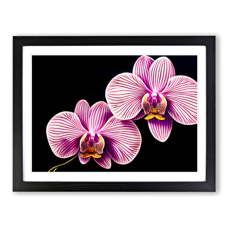 Head Turning Orchid Flowers - Single Picture Frame Print, 46cm H x 64cm W x 2cm D, Black