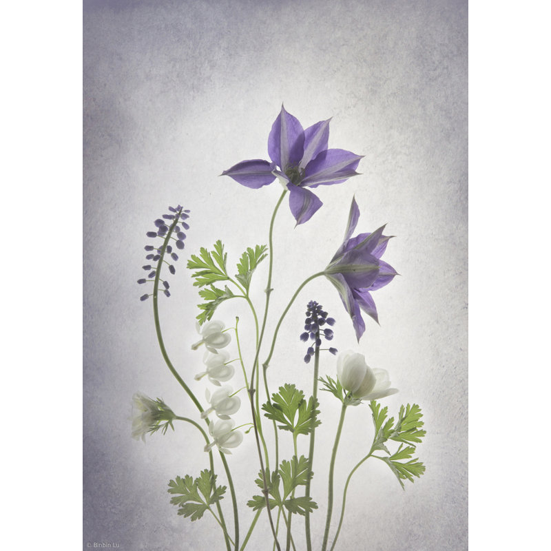 Wrapped Canvas Print, 91.44 cm H x 60.96 cm W