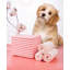 Tapis pour chien (ensemble de 100)