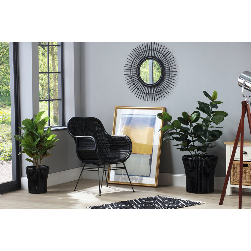 Canon Wood Wall Mirror, Black
