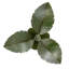 Plafonnier semi-encastré Banana Leaf-832197287-832197284