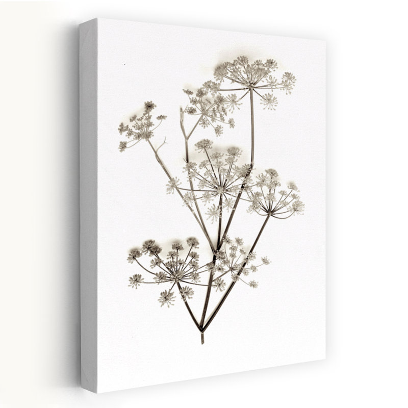 Jardin fleuri # 12 - Art photographique, H 36 po x l 24 po