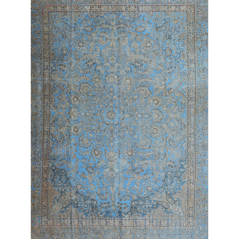 Abelhard Oriental Indoor Rug, Rectangle 5' x 7'