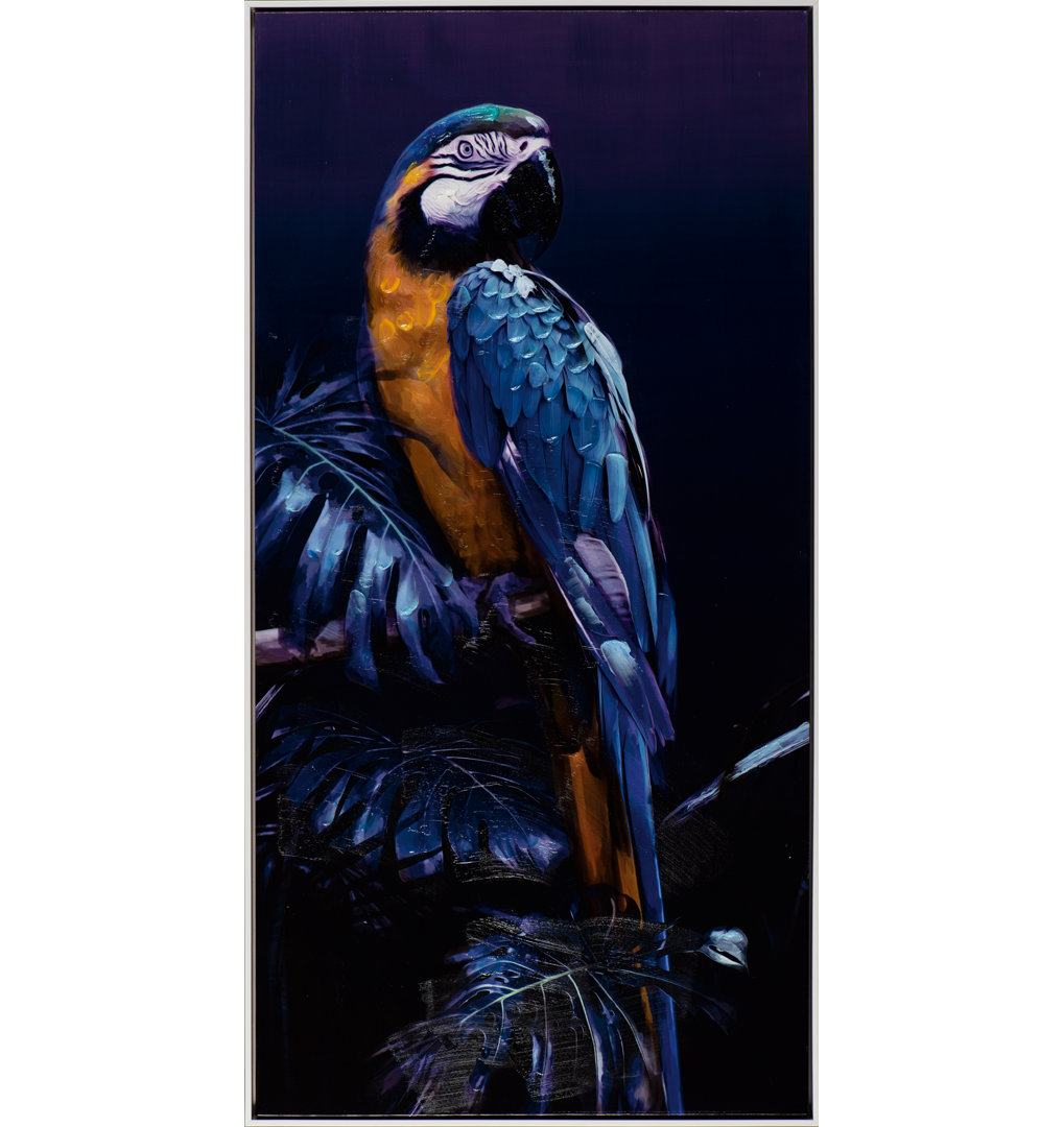 Parrot -Shadowbox Painting Print on Canvas