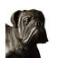 Bulwark the Bulldog Bronze