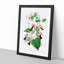 Purple Bell Vine Flowers - Framed Print-55616524-55616525