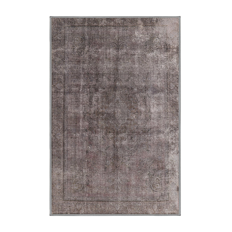 Jadiel Oriental Indoor Rug, Rectangle 2' x 3'