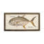 Giant Trevally Print-2057424408