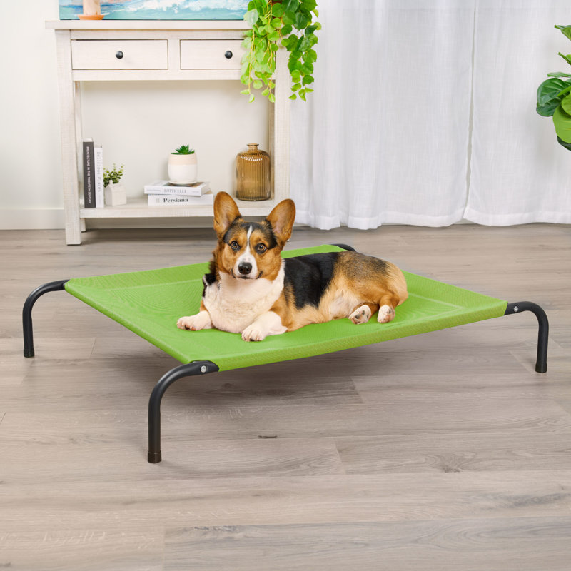 Elevated Cot Pet Bed, Green, 8" H x 32.5" W x 44" D
