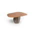 Petra 59.5" Organic Dining Table