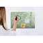 Magnetic Glass Dry Erase Board