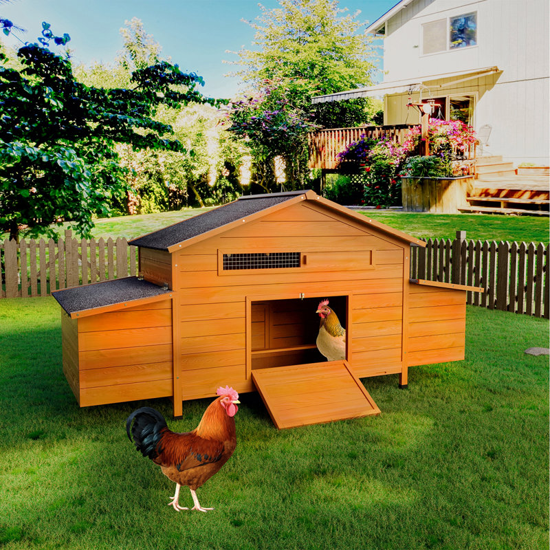 Grand poulailler en bois 70 With avec 2 nichoirs, toit imperméable, serrure sécurisée, poulailler ventilé avec perchoir et plateau coulissant pour un nettoyage facile