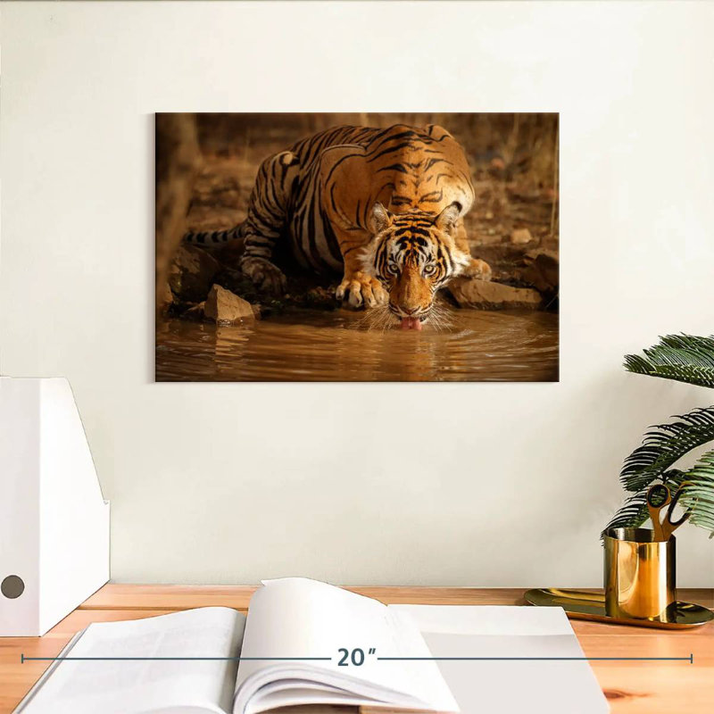 Brampt Drinking Wild Tiger, 8" H x 12" W
