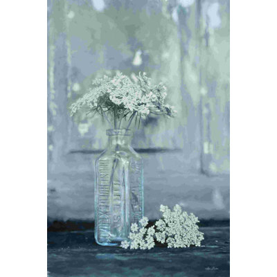 Queen Anne's Lace II 2885871