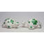 Tortue Shamrock