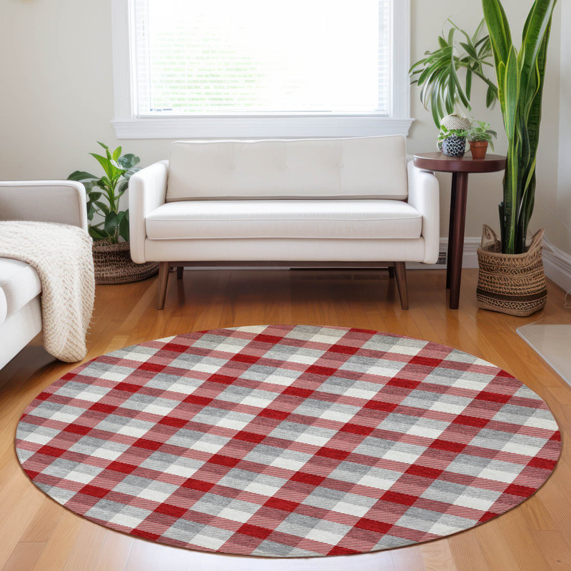  Machine Washable Indoor/Outdoor Chayden ACN1053 Rug, Round 8'
