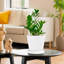 Ceramic Pot Planter