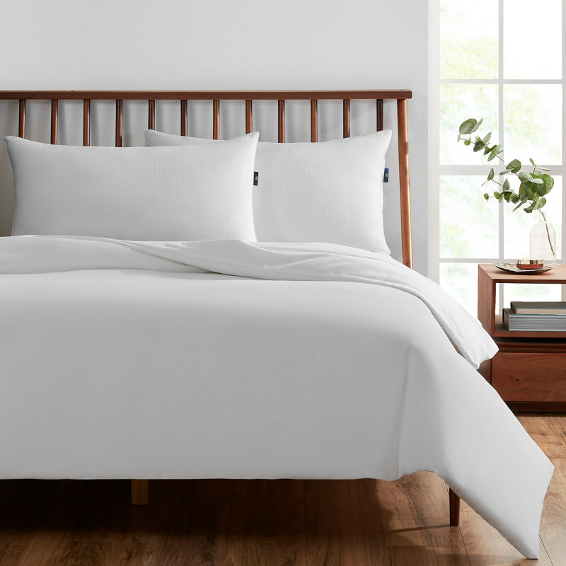 King Size White Polyester Hypoallergenic Pillows Set of 2