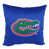 Gators de la Floride