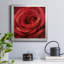 Solo Solo - photographie sur toile encadrée-96482035-96482046